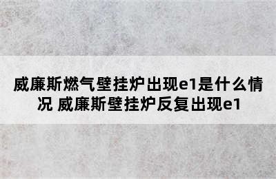 威廉斯燃气壁挂炉出现e1是什么情况 威廉斯壁挂炉反复出现e1